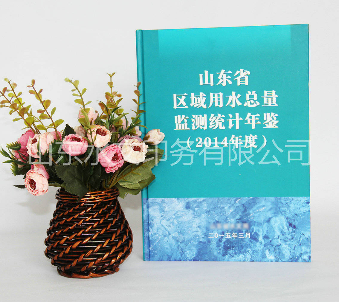 检测统计年鉴印刷
