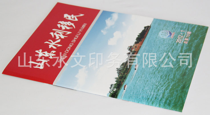 专业杂志,杂志印刷